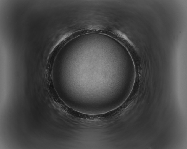 X0000087741256200705071045
