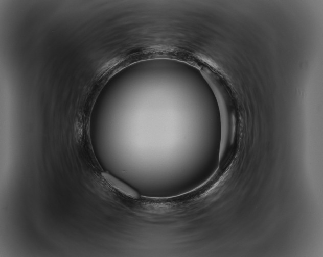 X0000087741257200705071045