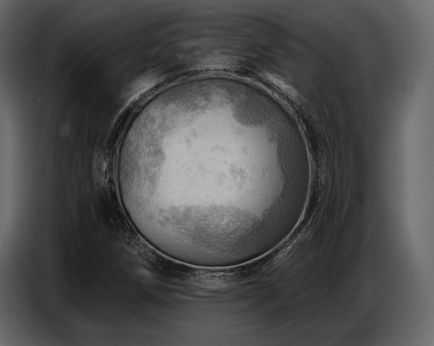 X0000087741258200705071045