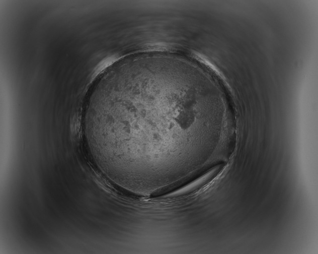 X0000087741259200705071045