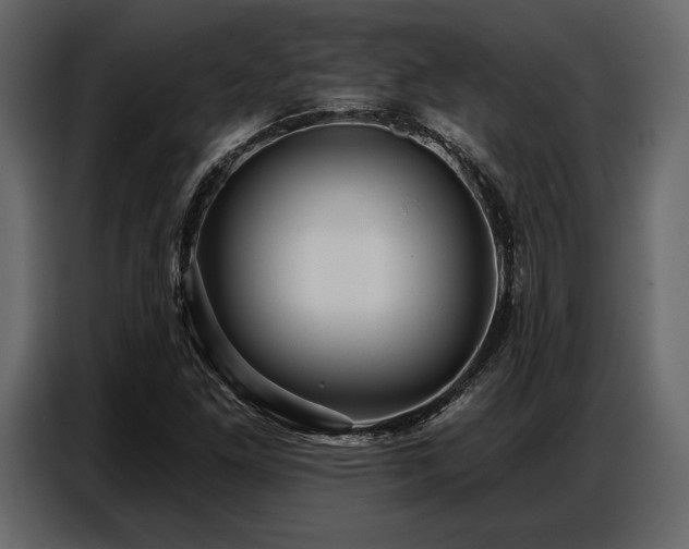 X0000087741261200705071045