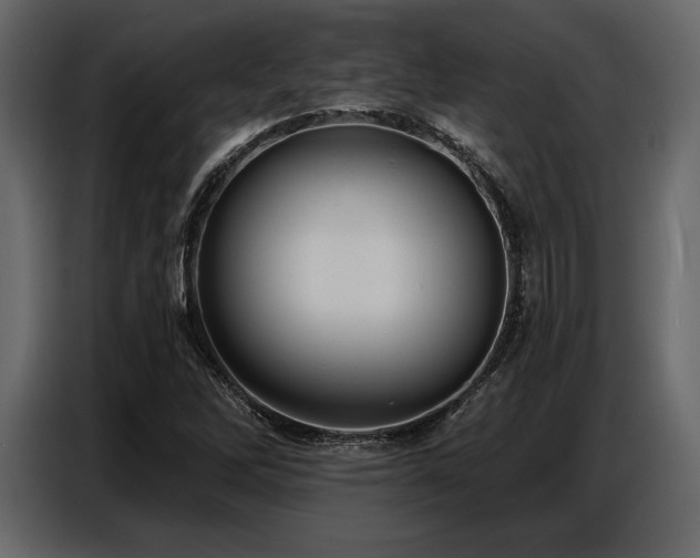 X0000087741262200705071045