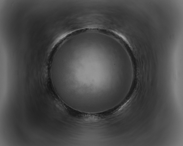 X0000087741263200705071045