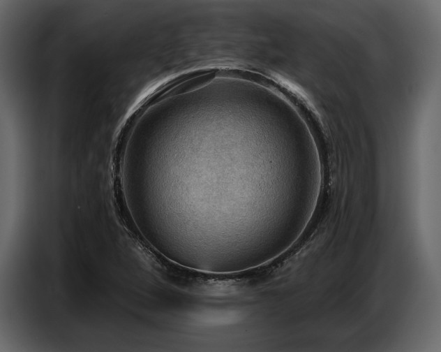 X0000087741264200705071045