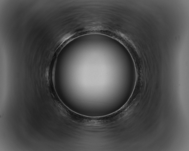 X0000087741265200705071045
