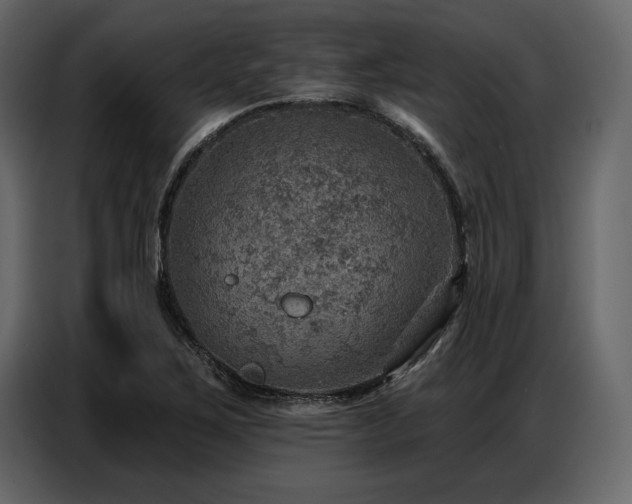X0000087741267200705071045