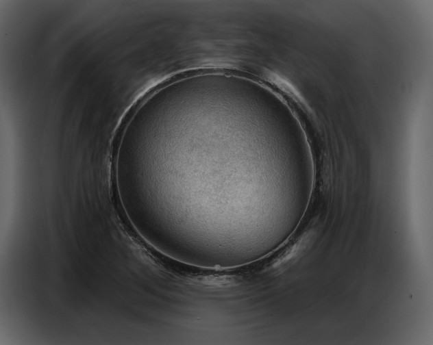 X0000087741268200705071045