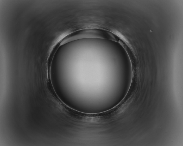 X0000087741269200705071045