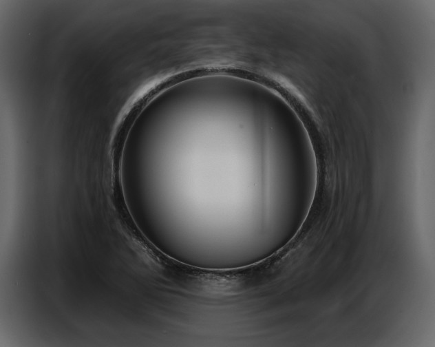 X0000087741270200705071045