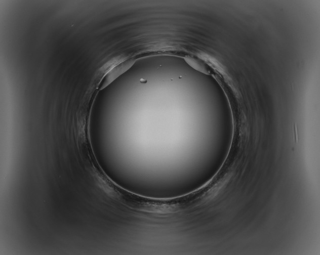 X0000087741273200705071045