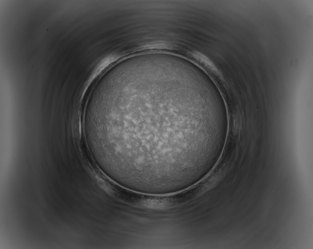 X0000087741274200705071045