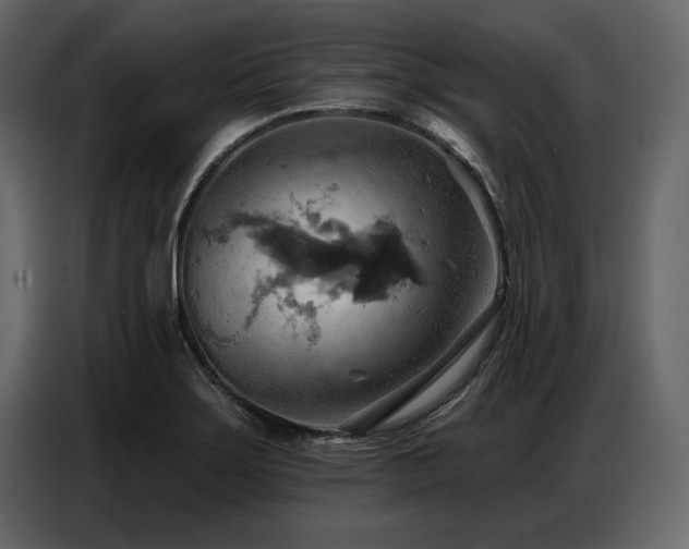 X0000087741275200705071045