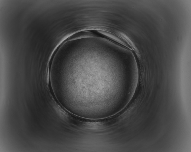 X0000087741276200705071045