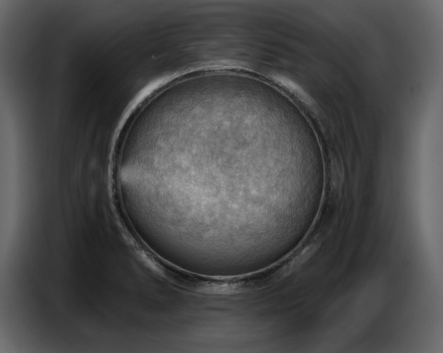 X0000087741278200705071045