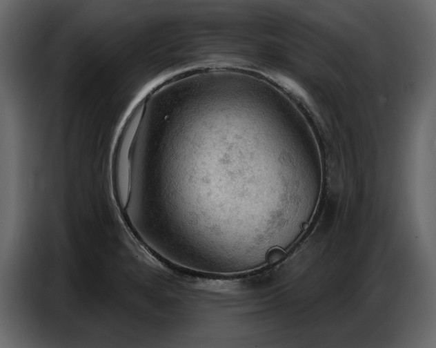 X0000087741280200705071045