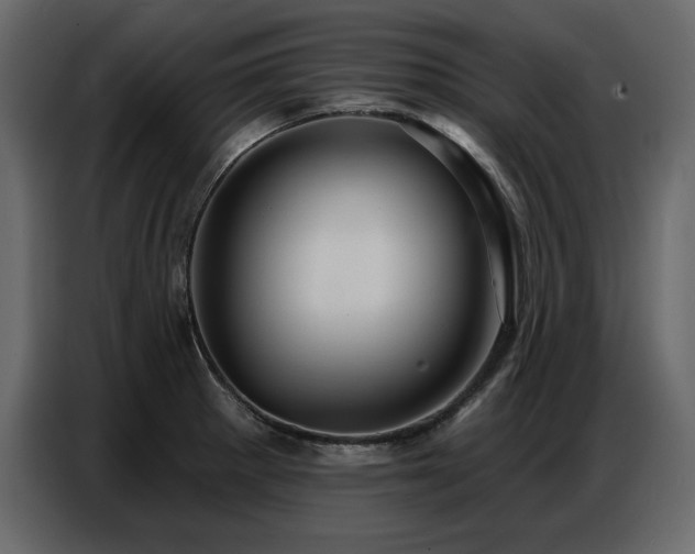 X0000087741281200705071045