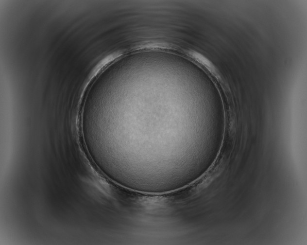 X0000087741282200705071045