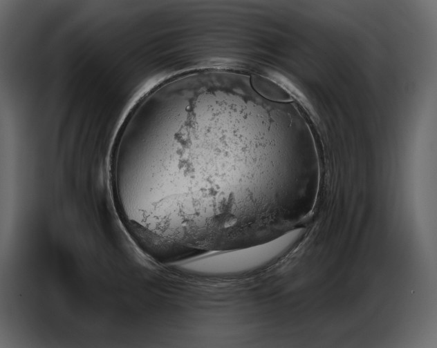 X0000087741283200705071045