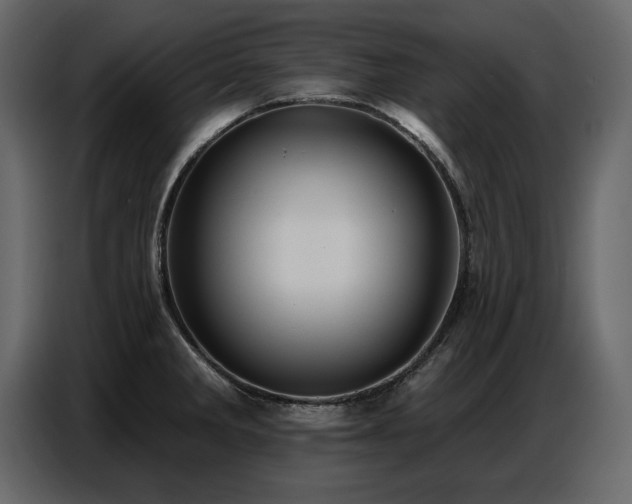 X0000087741285200705071045