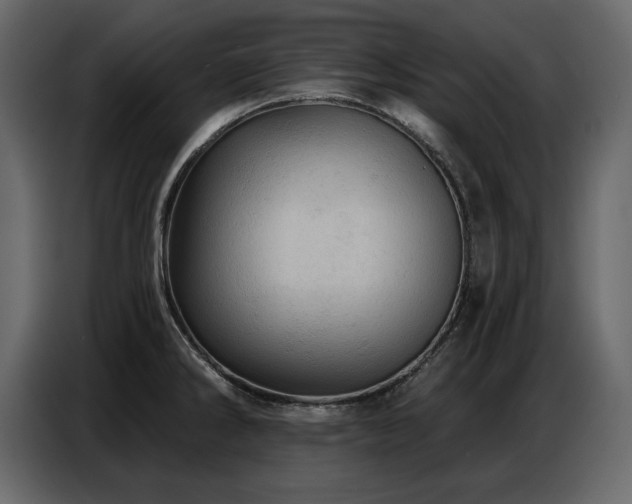 X0000087741286200705071045