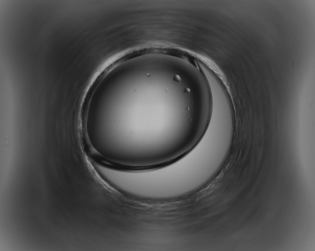 X0000087741287200705071045
