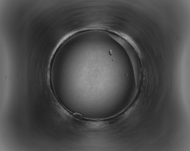 X0000087741288200705071045