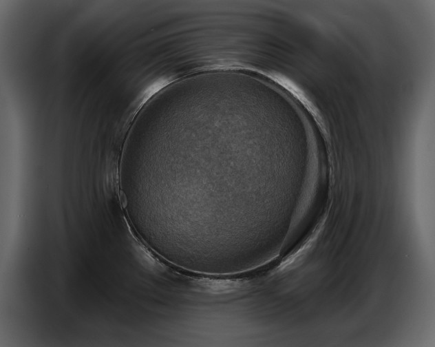 X0000087741289200705071045