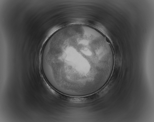 X0000087741290200705071045