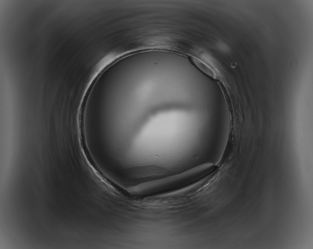 X0000087741291200705071045