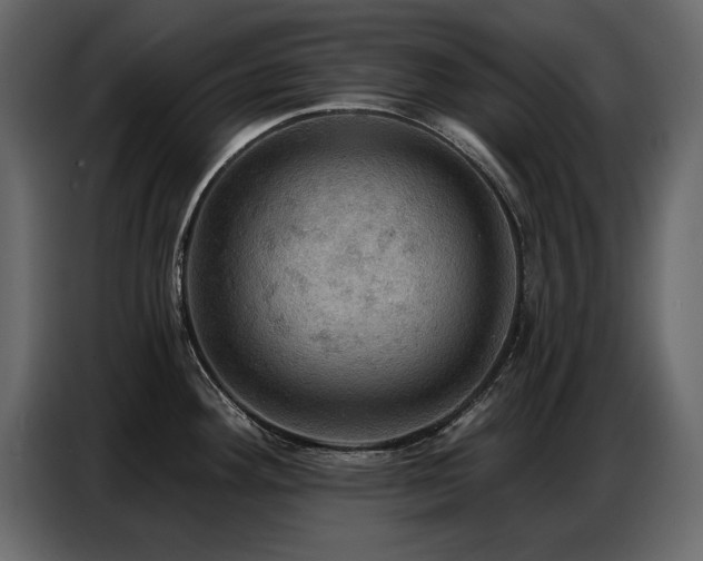 X0000087741292200705071045