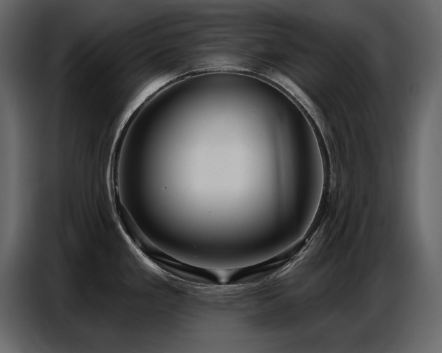 X0000087741293200705071045