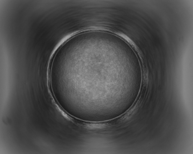 X0000087741294200705071045