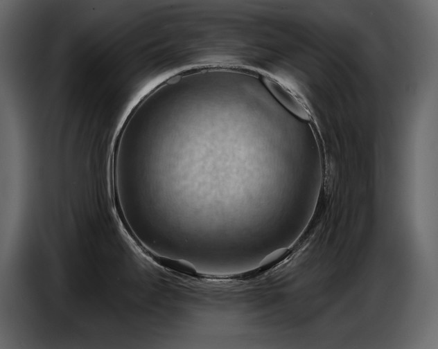 X0000087741295200705071045