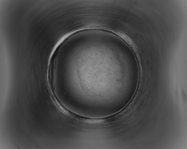 X0000087741296200705071045