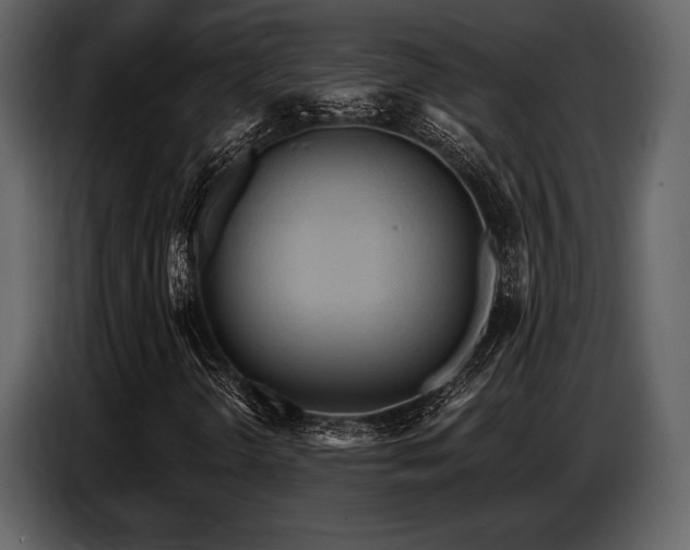 X0000087741298200705071044