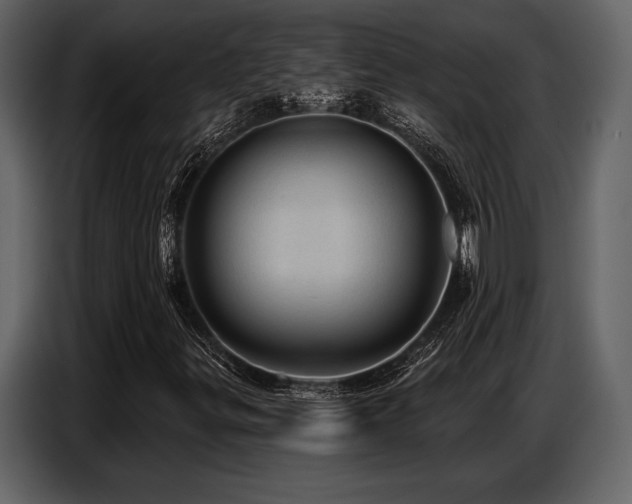 X0000087741299200705071044