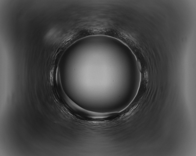 X0000087741300200705071044