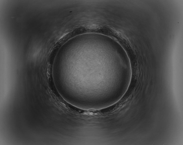 X0000087741301200705071044