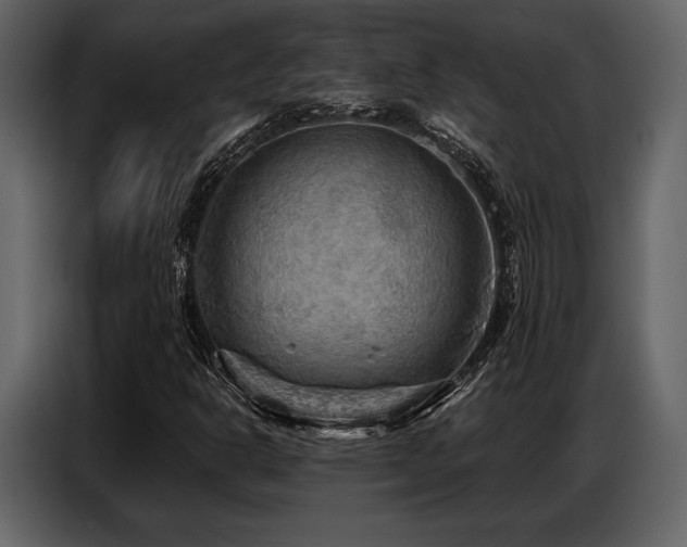X0000087741302200705071044