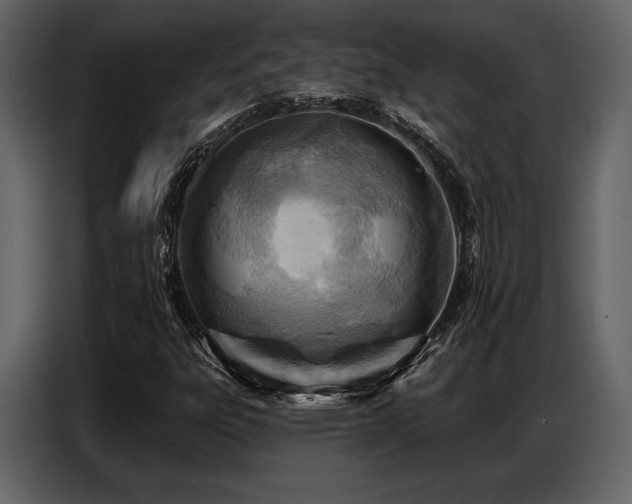 X0000087741303200705071044