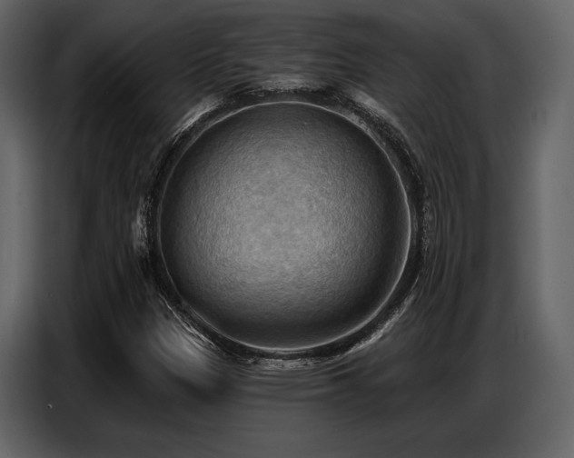 X0000087741305200705071044