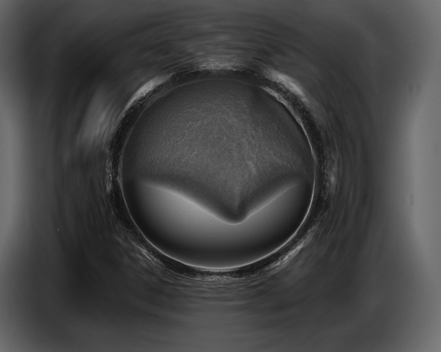 X0000087741306200705071044