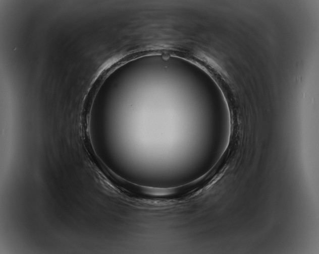 X0000087741308200705071044