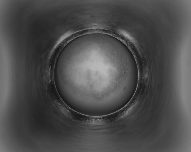 X0000087741310200705071044