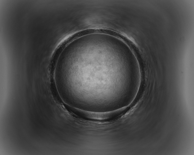 X0000087741311200705071044