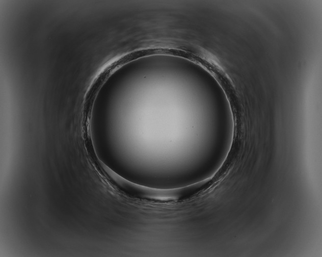 X0000087741312200705071044