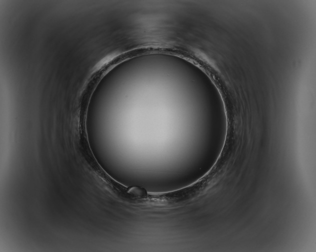 X0000087741315200705071044