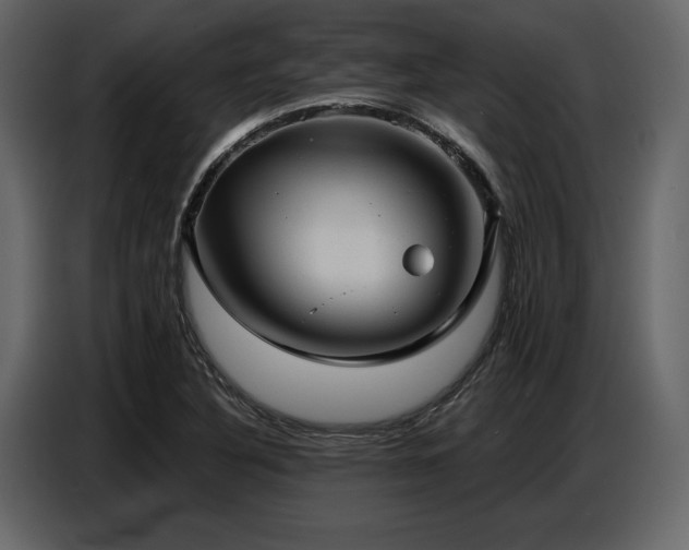 X0000087741316200705071044