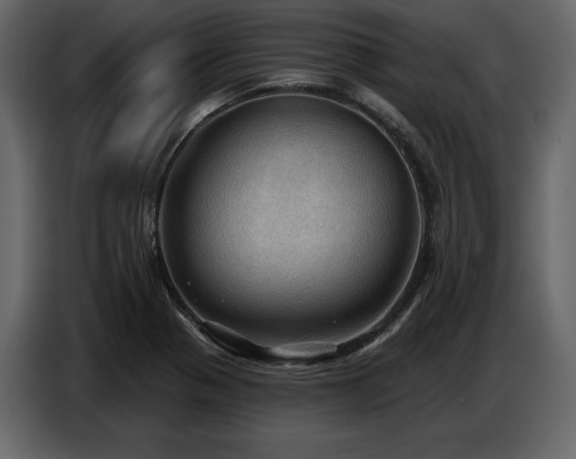X0000087741321200705071045