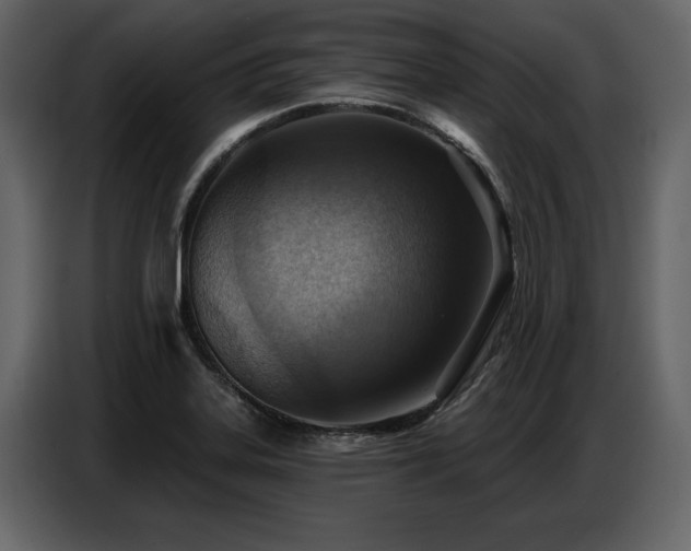 X0000087741323200705071045